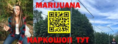прущие грибы Заволжье