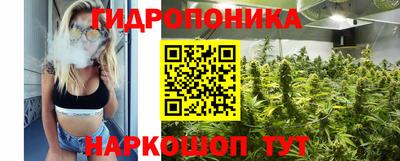 spice Жуковский
