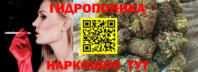 прущие грибы Заволжье