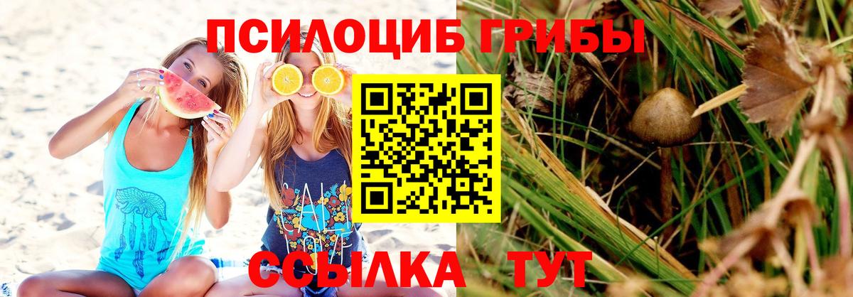 Галлюциногенные грибы Psilocybe  Вход с VPN  Псилоцибиновые грибы MAGIC MUSHROOMS  Михайловка 